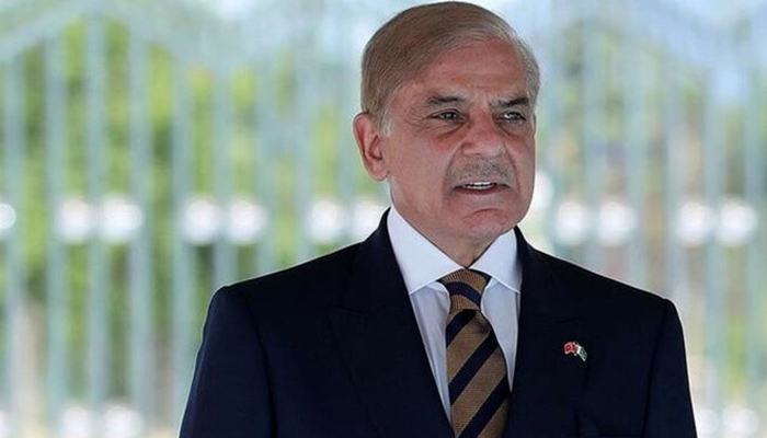 وزیراعظم شہباز شریف کا اوورسیز پاکستانیوں سے خطاب، مسئلہ کشمیر کے بغیر پاک بھارت تعلقات ناممکن قرار