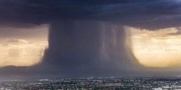 پاکستان میں کلاؤڈ برسٹ کے بڑھنے کی بڑی وجہ جنگلات کی کٹائی قرار، ماہرین کا انتباہ