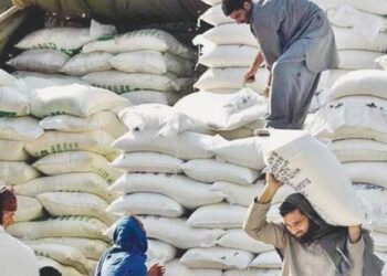 پنجاب میں آٹا بحران وقتی طور پر ٹل گیا، فلور ملز نے مشروط سپلائی پر رضامندی ظاہر کر دی