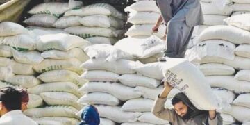 پنجاب میں آٹا بحران وقتی طور پر ٹل گیا، فلور ملز نے مشروط سپلائی پر رضامندی ظاہر کر دی