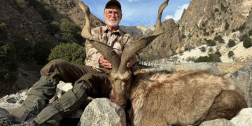 گلگت بلتستان میں ٹرافی ہنٹنگ نیلامی، مارخور کا پرمٹ 10 کروڑ سے زائد میں فروخت، دنیا کا نیا ریکارڈ