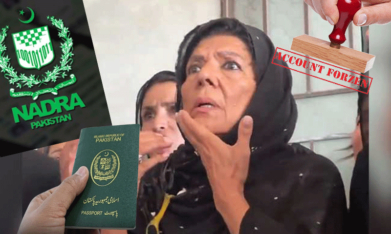 علیمہ خان کا شناختی کارڈ، پاسپورٹ اور بینک اکاؤنٹس ضبط کرنے کا حکم