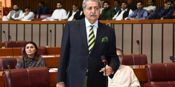 پیپلز پارٹی کا وزیر اعلیٰ پنجاب مریم نواز کے بیانات پر قومی اسمبلی اجلاس سے واک آؤٹ