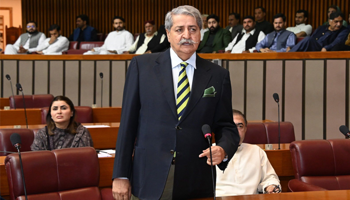 پیپلز پارٹی کا وزیر اعلیٰ پنجاب مریم نواز کے بیانات پر قومی اسمبلی اجلاس سے واک آؤٹ