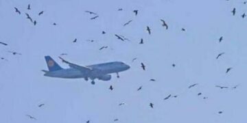 کوئٹہ سے کراچی آنے والا مسافر طیارہ بڑے حادثے سے محفوظ، کپتان کی حاضر دماغی نے صورتحال سنبھال لی