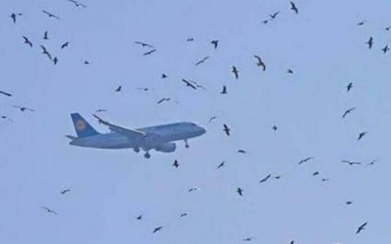 کوئٹہ سے کراچی آنے والا مسافر طیارہ بڑے حادثے سے محفوظ، کپتان کی حاضر دماغی نے صورتحال سنبھال لی