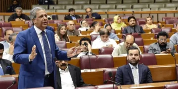 چار سال میں 7,500 سے زائد خواتین قتل، 17 ہزار ریپ کیسز رپورٹ؛ قومی اسمبلی میں ہولناک ڈیٹا پیش