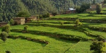 ٹی ٹی پی نے مذاکرات کے بعد وادی تیراہ کے بر قمبر خیل علاقے سے انخلا پر رضامندی ظاہر کردی