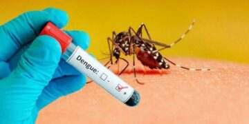 سندھ میں ڈینگی قابو سے باہر، مزید 4 اموات؛ مجموعی تعداد 25 تک پہنچ گئی