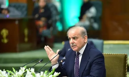 دہشت گردی کا نیا خطرہ افغان سرزمین سے اٹھ رہا ہے:وزیراعظم شہباز شریف