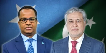 سلامتی کونسل میں صومالیہ کے تحفظات پر پاکستان کی مکمل حمایت کا اعادہ، اسحاق ڈار
