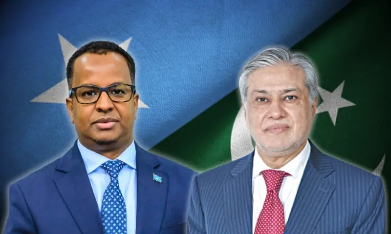 سلامتی کونسل میں صومالیہ کے تحفظات پر پاکستان کی مکمل حمایت کا اعادہ، اسحاق ڈار