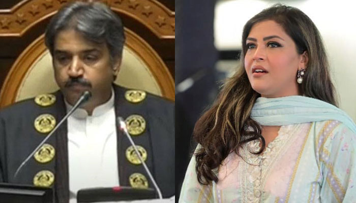 سندھ اسمبلی اجلاس میں اسپیکر اویس قادر شاہ نے صوبائی حکومت کی ترجمان کو ڈانٹ پلا دی