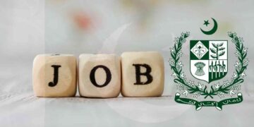سندھ میں عوامی خدمات اور سرکاری بھرتیوں سے متعلق اہم فیصلے، جاب پورٹل پر اشتہارات ماہِ جنوری تک جاری کرنے کی ہدایت