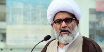 علامہ راجہ ناصر عباس کا سینیٹ میں بیان، بانی پی ٹی آئی کی صحت اور بنیادی حقوق پر شدید تحفظات کا اظہار