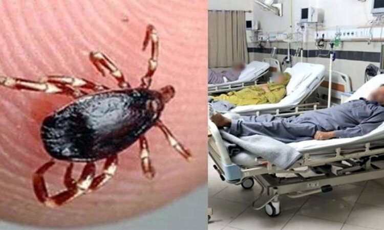 کراچی میں کانگو وائرس سے متاثر 17 سالہ نوجوان جاں بحق