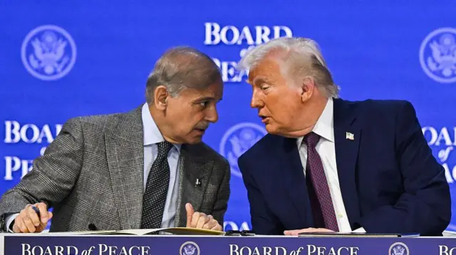 شہباز شریف کی ڈیڈ لائن میں دو ہفتے کی توسیع کی درخواست پر  صدر ڈونلڈ ٹرمپ کا ردعمل سامنے آگیا