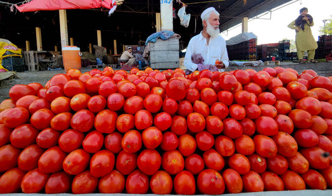 کراچی میں ٹماٹر کی قیمت 500 روپے فی کلو تک پہنچ گئی، ایرانی درآمد بھی ریلیف نہ دے سکی — پاک الرٹس: سنسنی نہیں، صرف خبر - PakAlerts.net — قابل اعتماد ڈیجیٹل نیوز پلیٹ فارم عالمی امور، تازہ ترین خبریں, سیاست, ٹیکنالوجی، کھیل، معیشت، تفریح، صحت، تعلیم، اور بہت کچھ ایک جگہ پر۔ کراچی میں ٹماٹر کی قیمت 500 روپے فی کلو تک پہنچ گئی، ایرانی درآمد بھی ریلیف نہ دے سکی