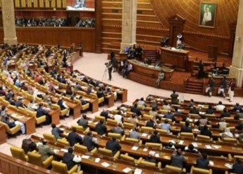 پنجاب اسمبلی میں 16 سال سے کم عمر بچوں کے سوشل میڈیا استعمال پر پابندی کی قرارداد منظور